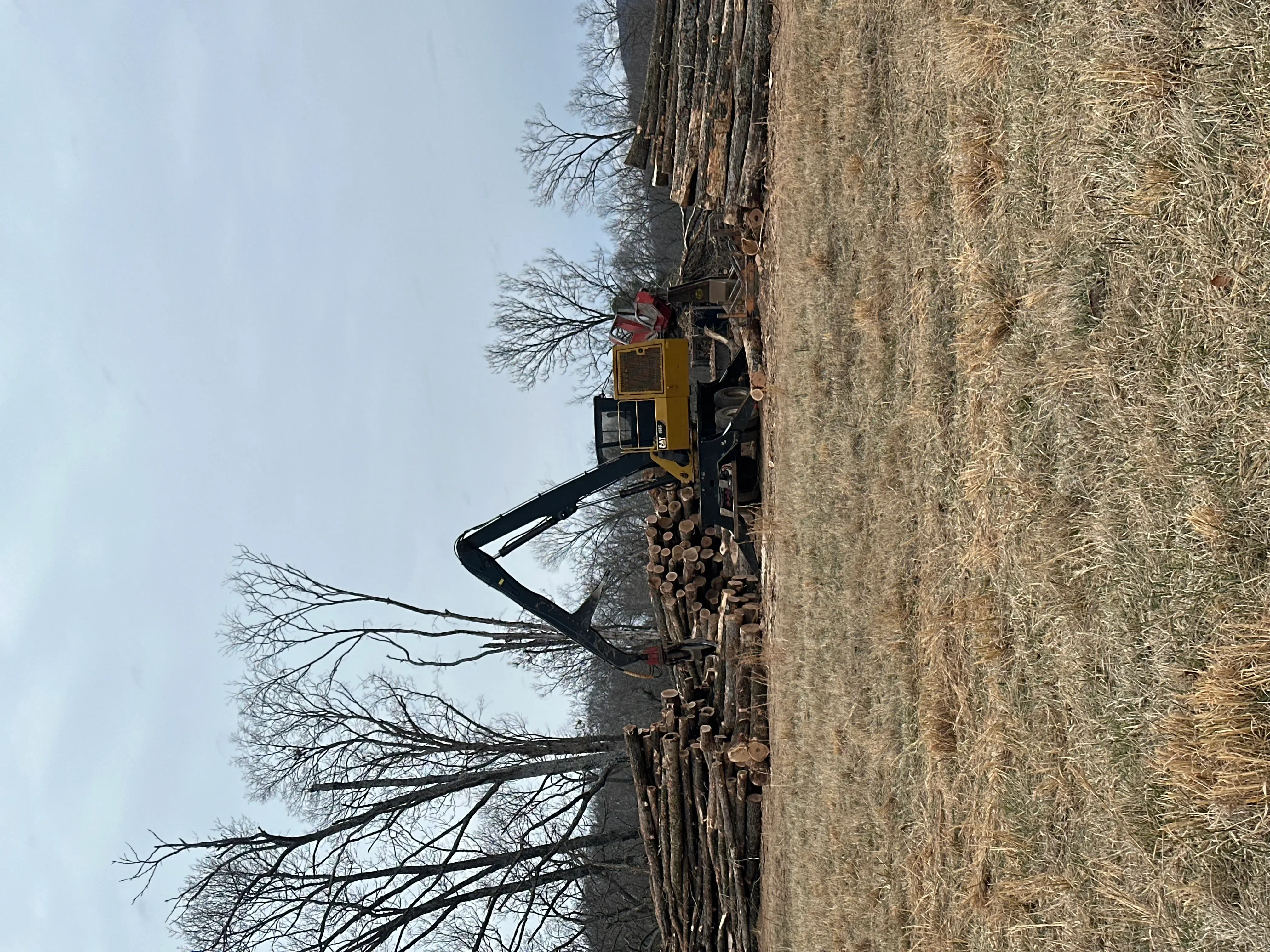 Yellow excavator with extended boom removing trees from cleared land, logs stacked nearby
