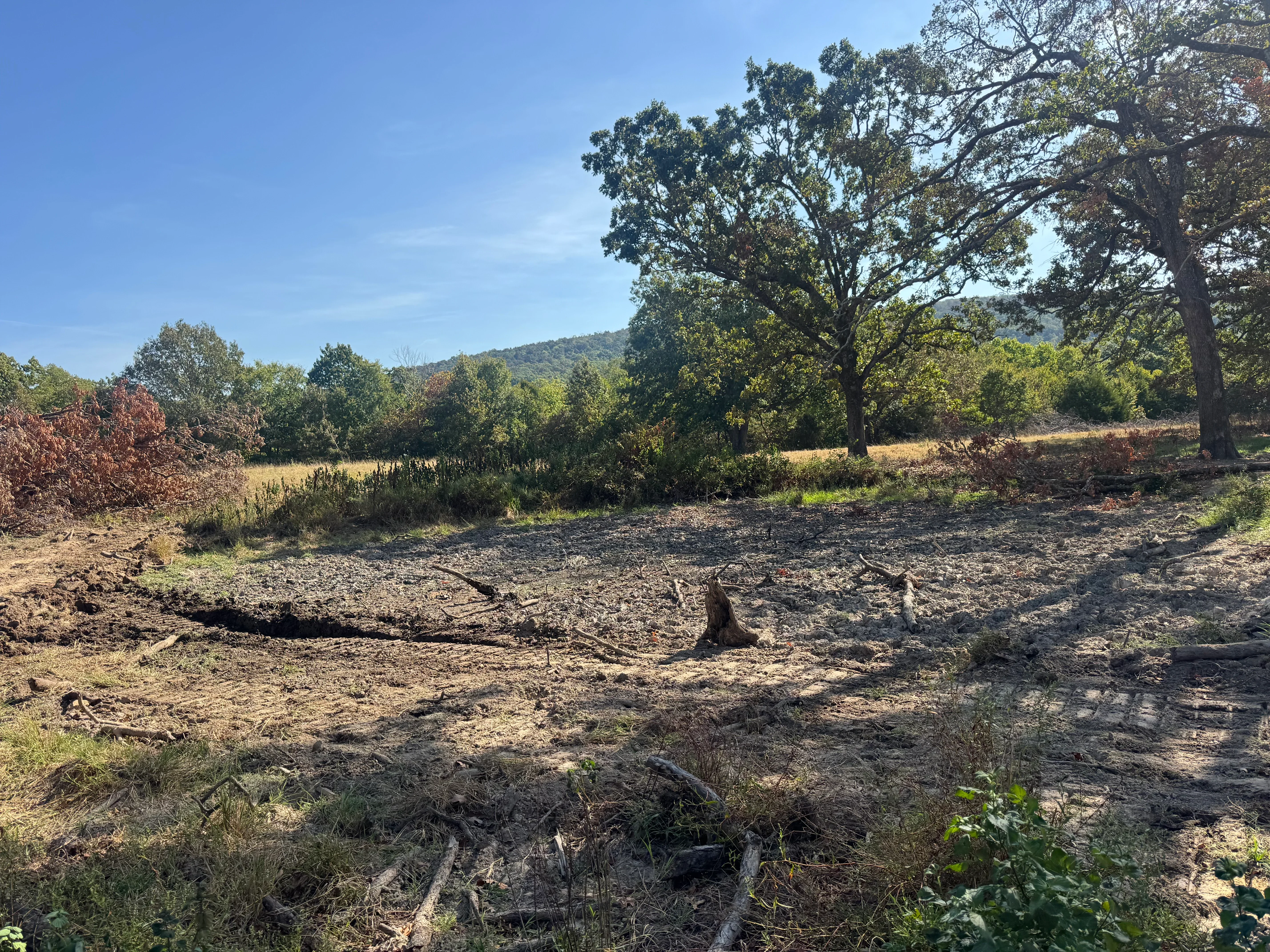 Cleared woodland with timber debris piles, stumps, and mature trees remaining on property