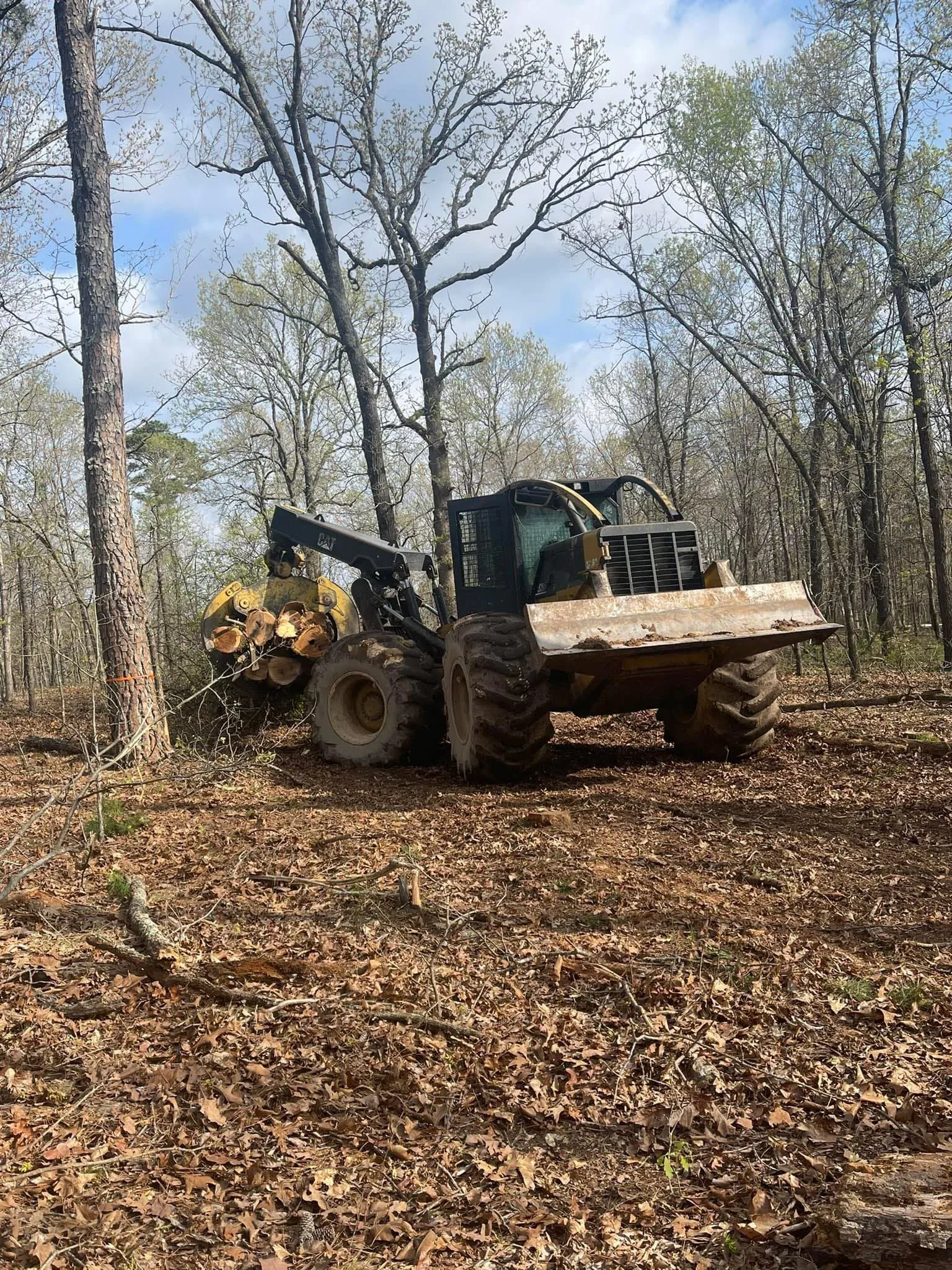 Grapple skidder with hydraulic log grapple loading timber in forest clearing