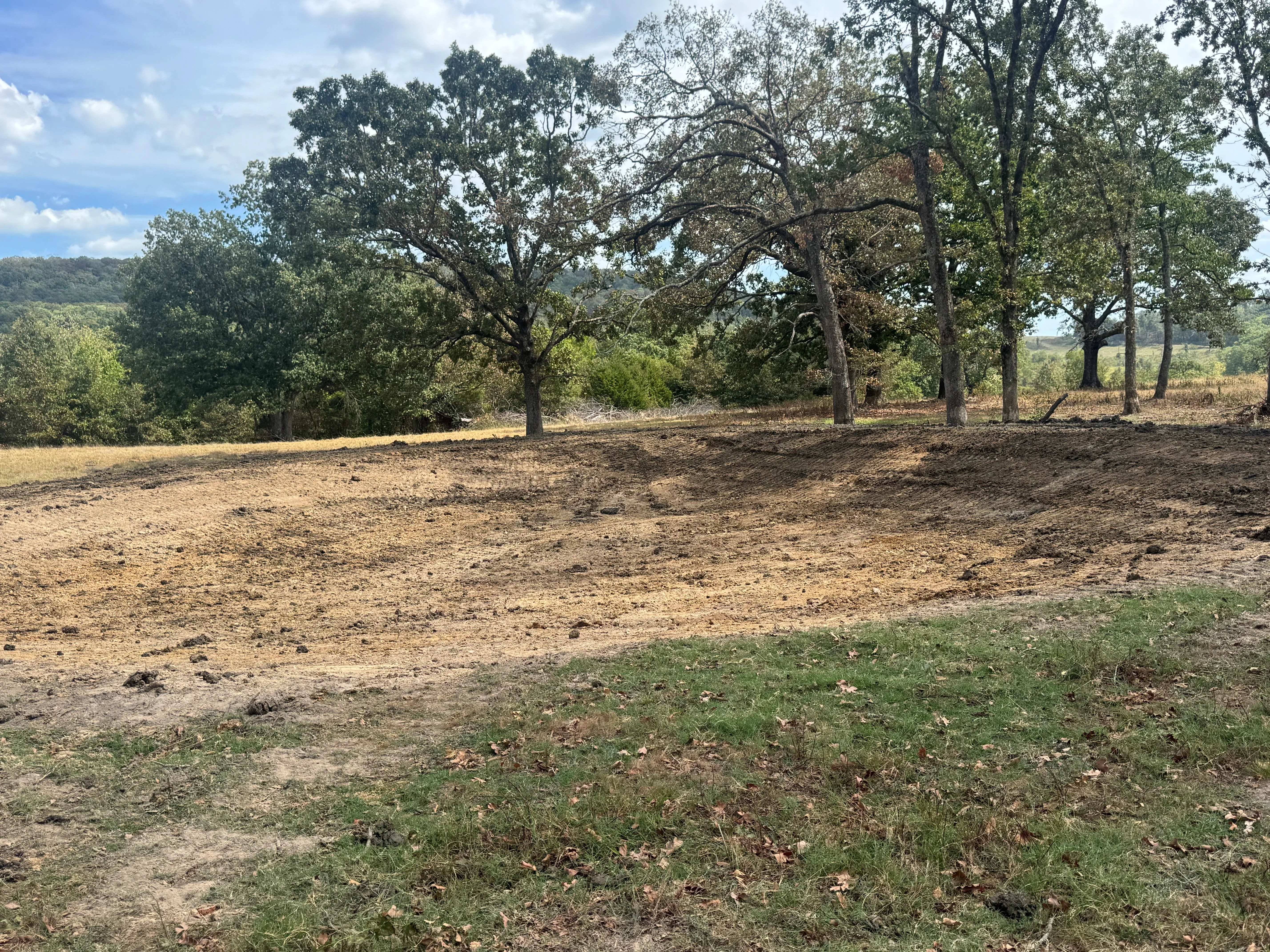 Cleared land with mature hardwood trees retained, selective logging and ground preparation visible