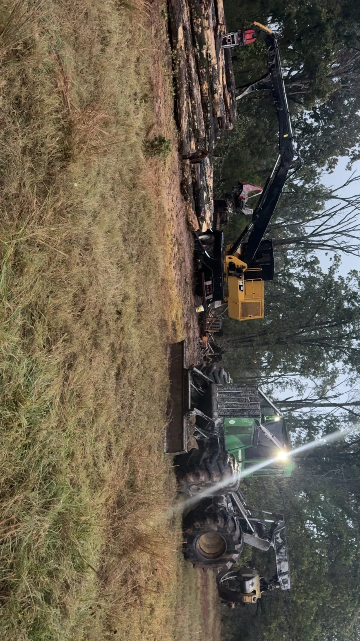 Excavator with boom attachment and wood chipper processing timber and clearing brush from overgrown land