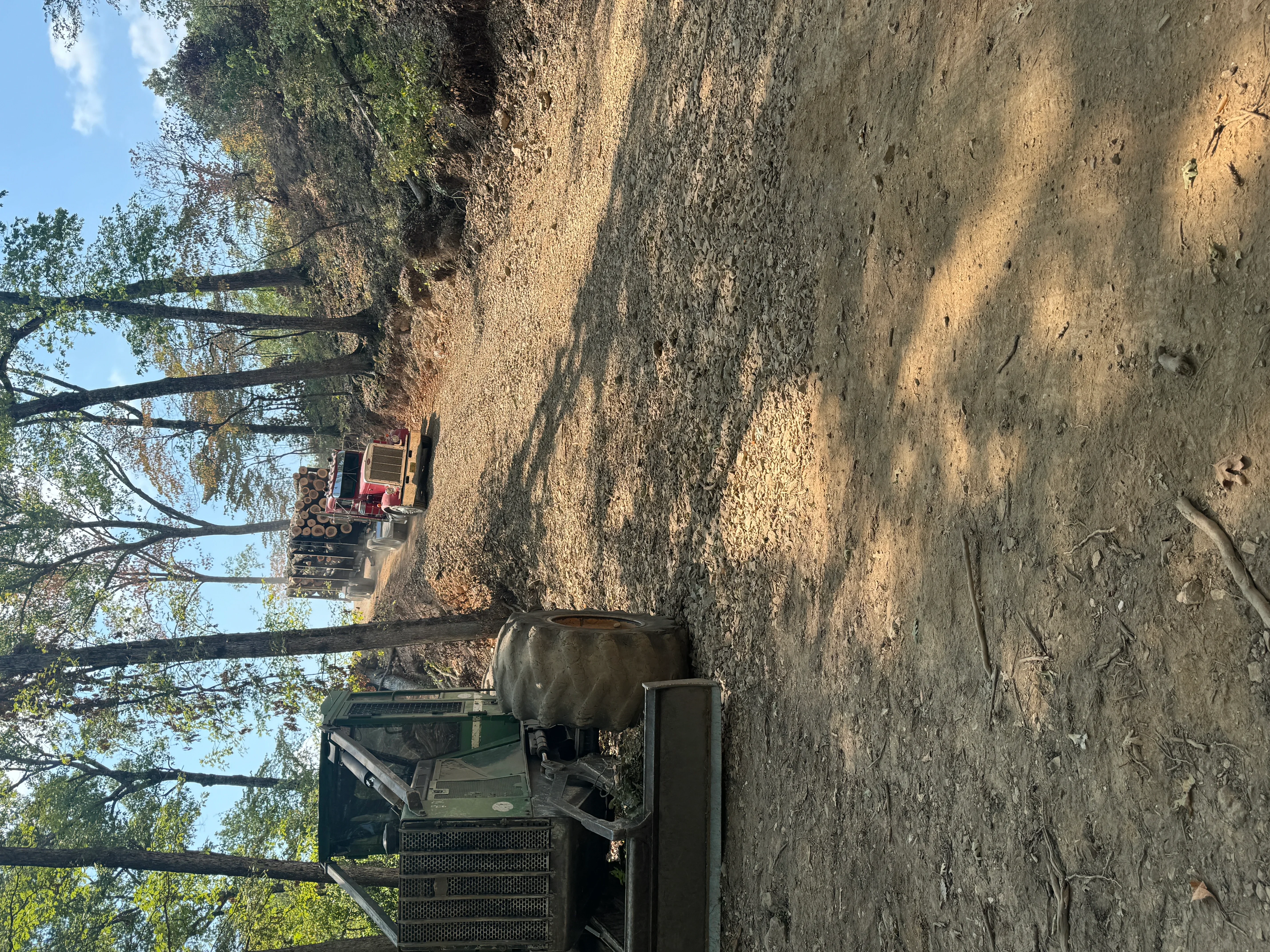 Excavator with grapple attachment removing felled trees from cleared land