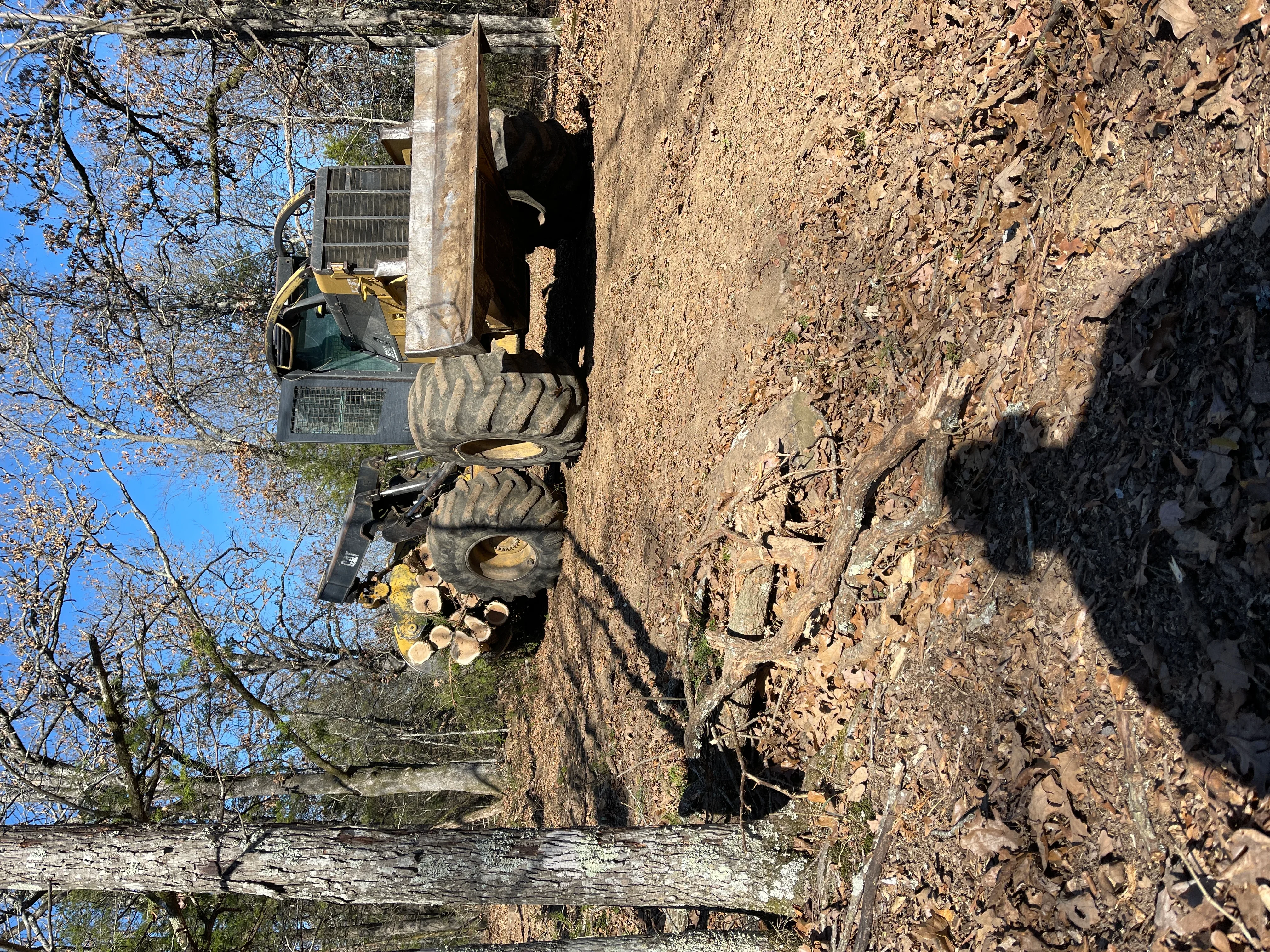 Skid steer loader with grapple bucket removing felled logs from cleared earthen site
