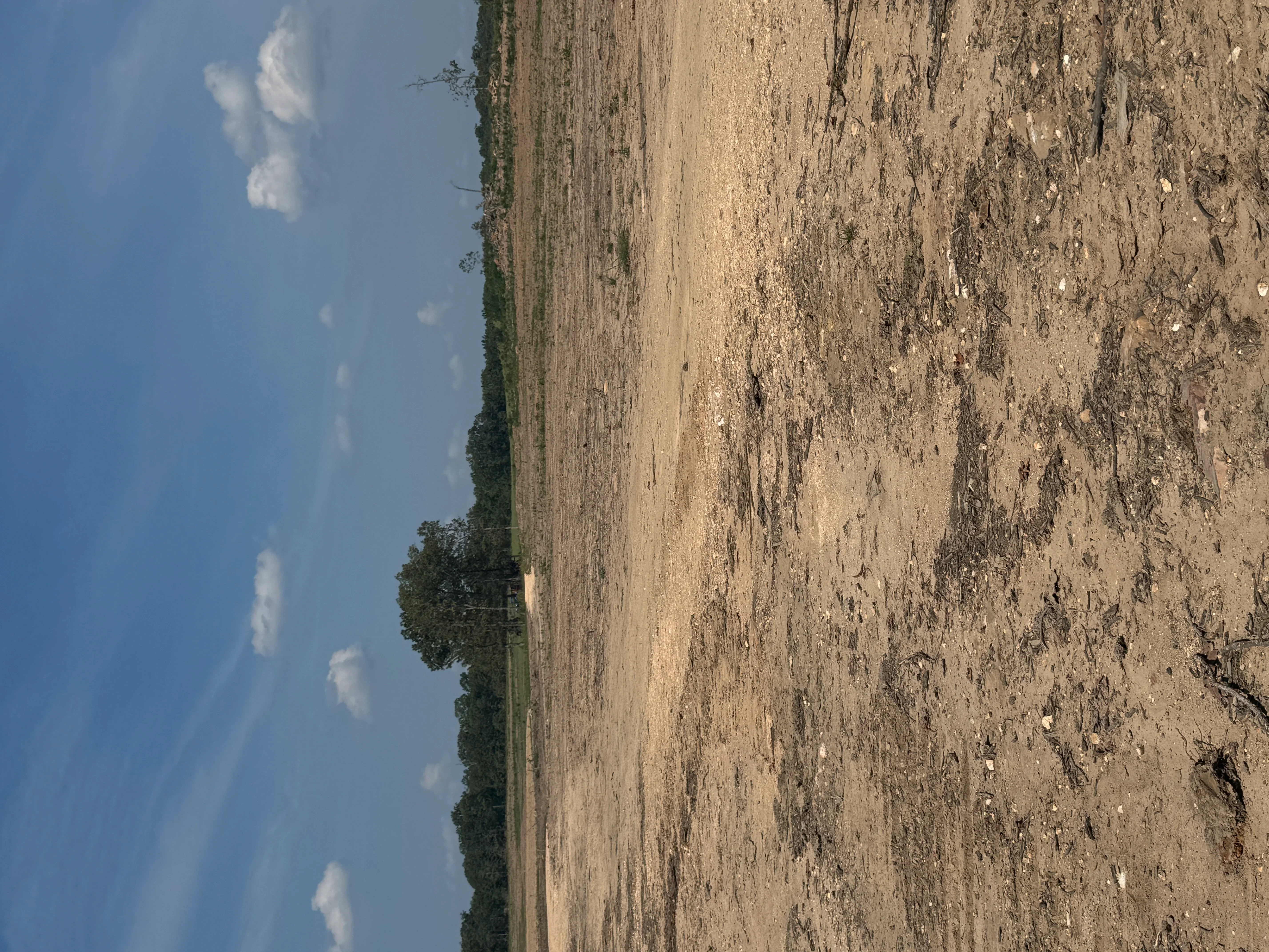Cleared land with graded soil and minimal vegetation, showing logging and site preparation work