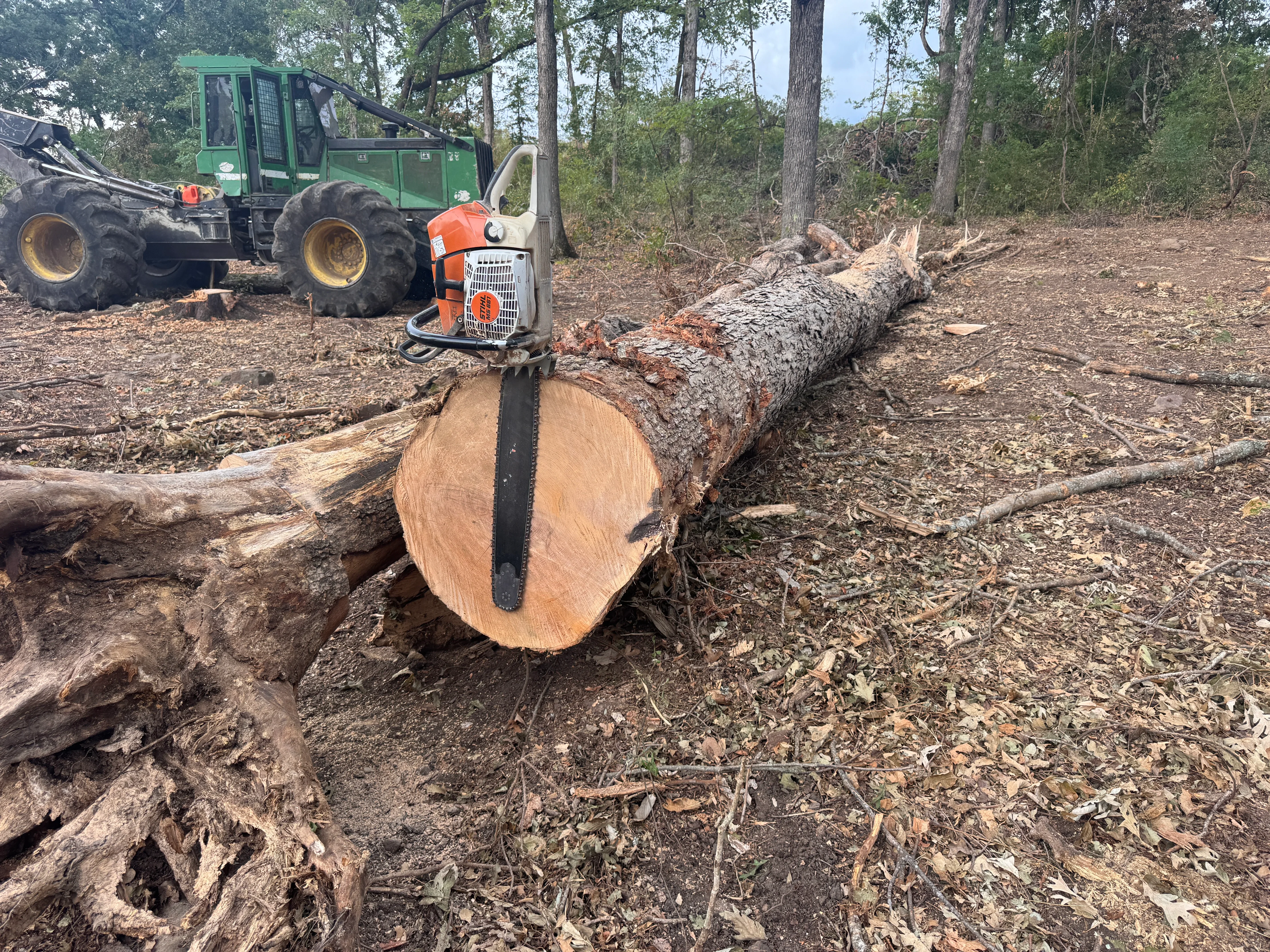 Chainsaw mill cutting large log cross-section with skidder and forest backdrop
