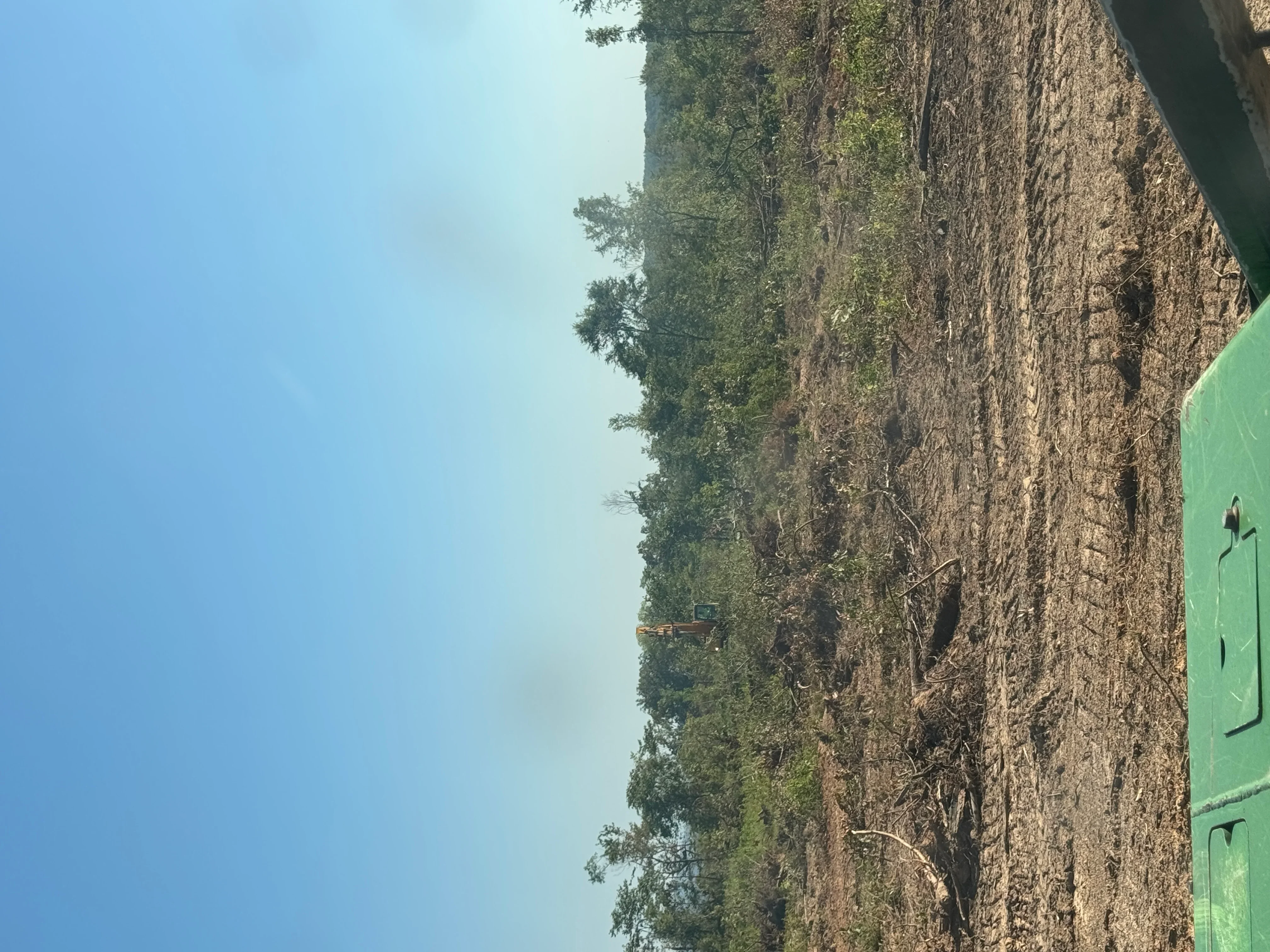 Cleared land with exposed soil, scattered logs, and remaining trees along tree line