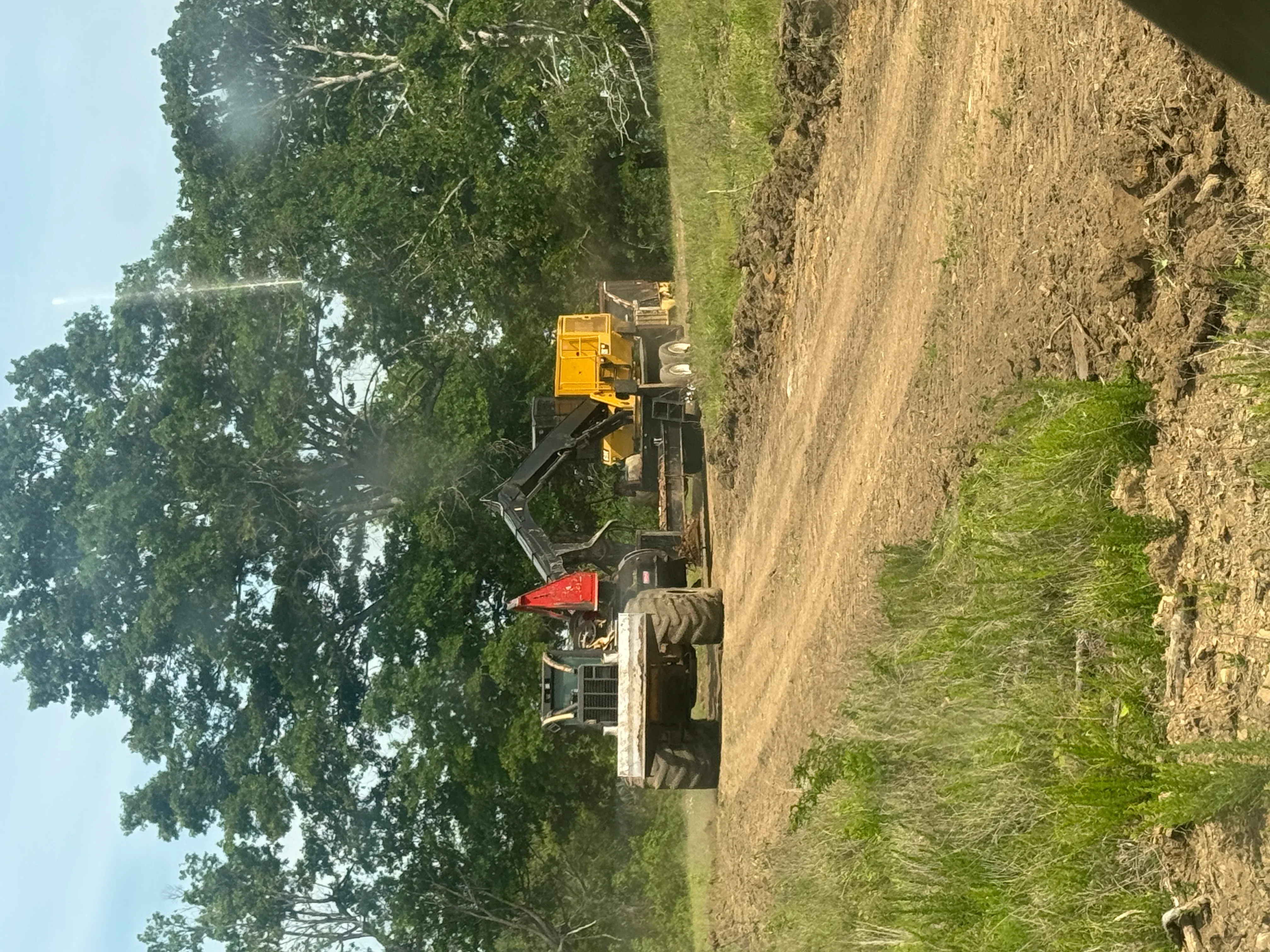 Tracked excavator with hydraulic shears removing trees from cleared land