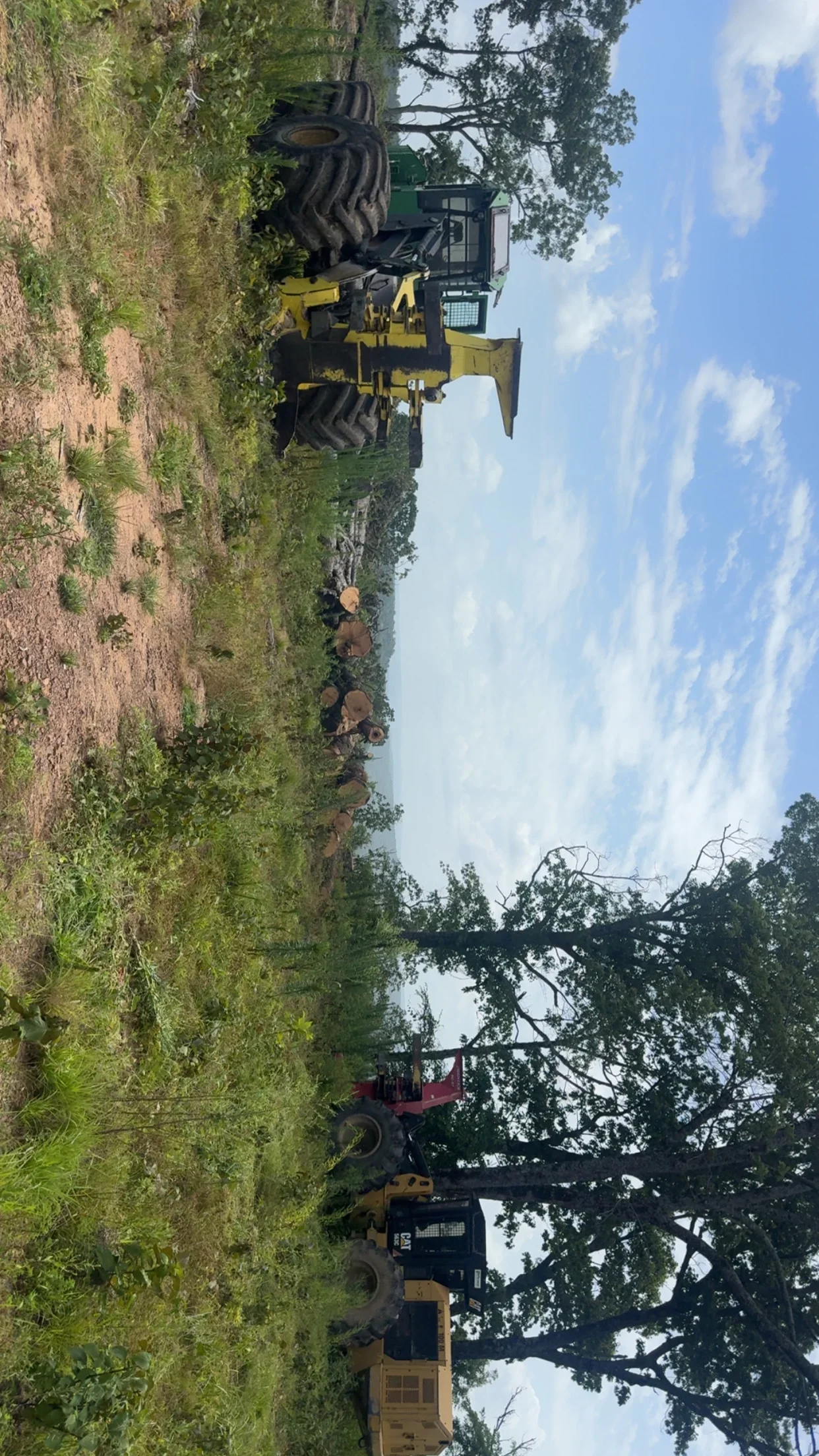 Tracked skidder with grapple attachment clearing felled trees from wooded land